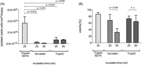 tryple|accutase vs tryple.